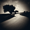 road